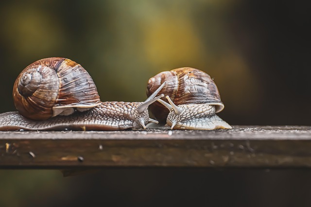 **Obuwie sportowe z bio-mechanicznym sprzężeniem zwrotnym: Porównanie dostępnych modeli i ich skuteczności w zapobieganiu kontuzjom.** - 7 2025