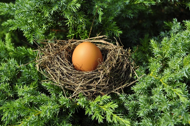 **”Czy warto inwestować w inteligentny termostat? Recenzja modeli Nest, Ecobee i Honeywell pod kątem oszczędności i kompatybilności z systemami grzewczymi w starszych domach.”**