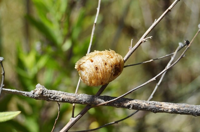 Zalety korzystania z kokonu dla noworodka - 2 2025 Zalety korzystania z kokonu dla noworodka - 1 2025
